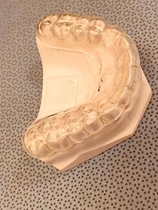 Model of full arch of teeth
